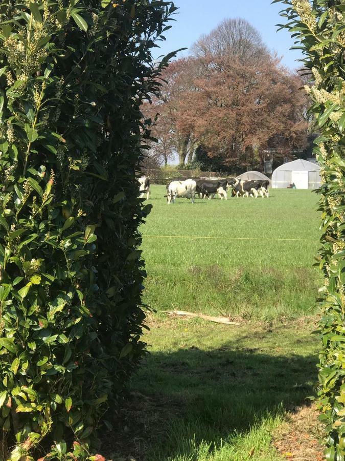 De Veenborg Kolham Exteriér fotografie